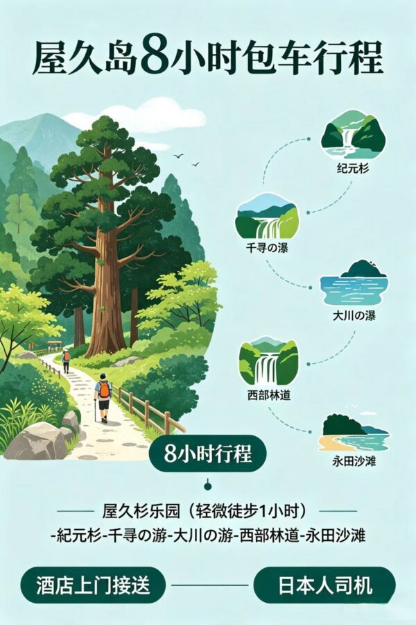 Yakushima Yakusugi Land & Waterfalls Private Tour - What Yakusugi Land adds to the day