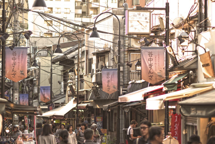 Yanaka Ginza & Nezu Shrine Half-Day Historical Walking Tour - Yanaka Ginza: time to see the area with context