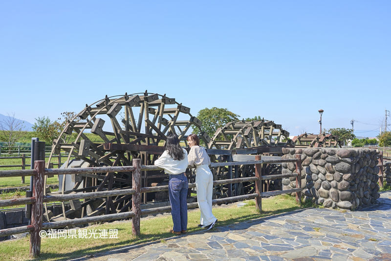 YokaBus Fukuoka Strawberry Picking and Sakura Dyeing Experience - A slow lunch break at Sanren Suisha no Sato Asakura