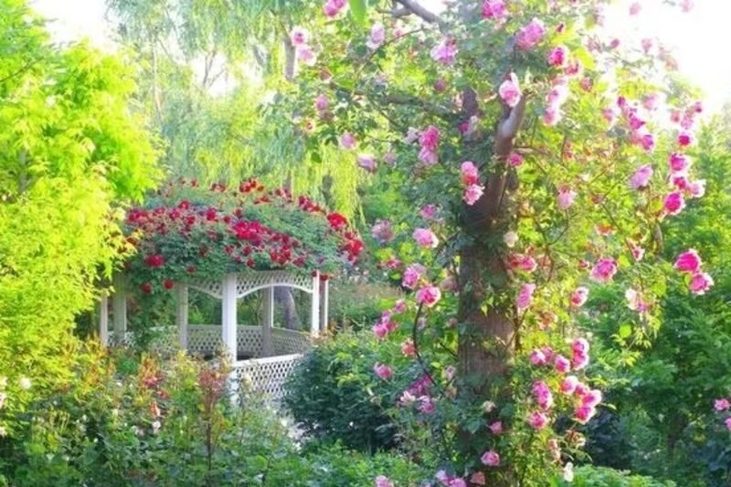 Yokohama English Garden - Roses, Flowers, and Displays That Change by Month