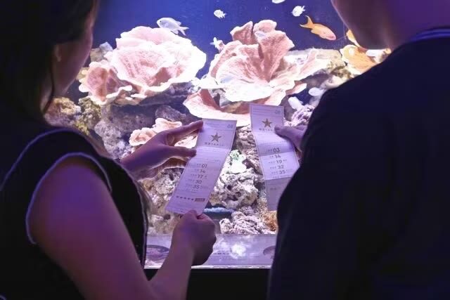 Yokohama Kaiun Aquarium Fortune Aquarium Admission Ticket (Yokohama) - How the fortune reading shapes your visit