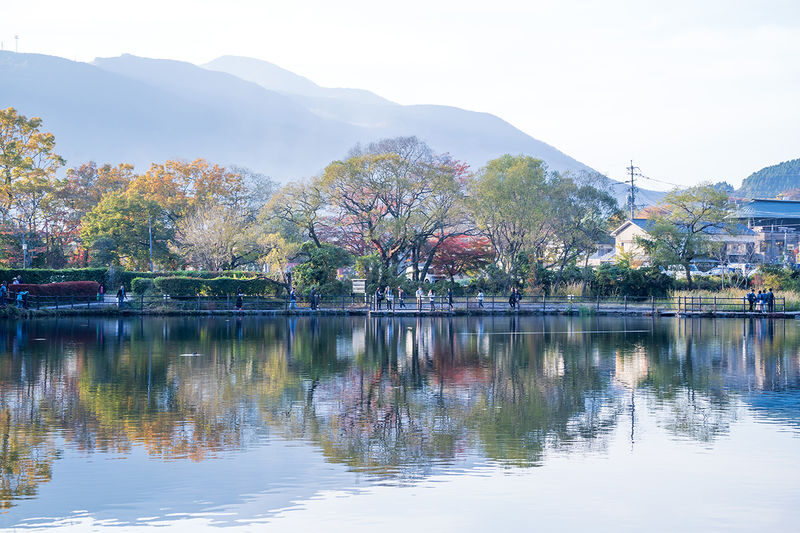 Yufuin & Hita Full-Day Tour with Yufuin no Mori Option - Nyoirin-ji Temple and its small, memorable details