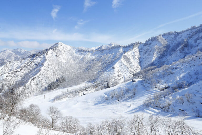 Yuzawa Nakazato Snow Resort Lift Ticket with Gear Rental - The train and shuttle approach
