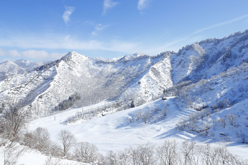 Yuzawa Nakazato Snow Resort Lift Ticket with Gear Rental - The train and shuttle approach